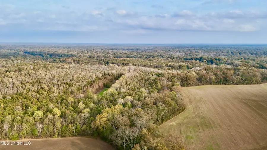 002 Hwy 16, Rolling Fork, MS 39159 - Image #3