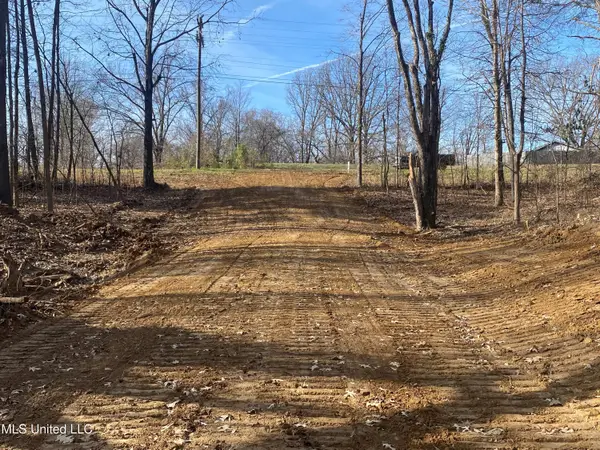 Longtown Road, Sarah, MS 38665