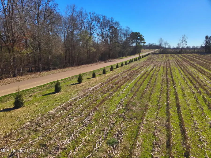 579 Black Jack Road, Vaughan, MS 39179 - Image #2