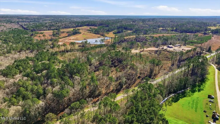 120 Mary Bertie Drive, Mendenhall, MS 39114 - Image #3