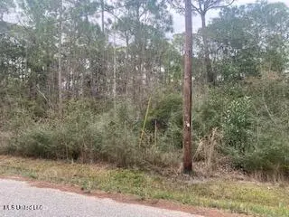 Azalea Lane, Pass Christian, MS 39571