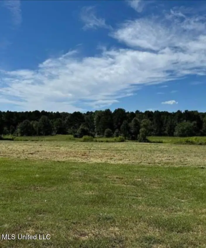 547 Clark Stables Road, Brandon, MS 39047 - Image #1