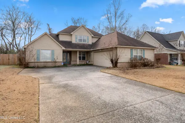 9861 Alexanders Ridge Drive, Olive Branch, MS 38654
