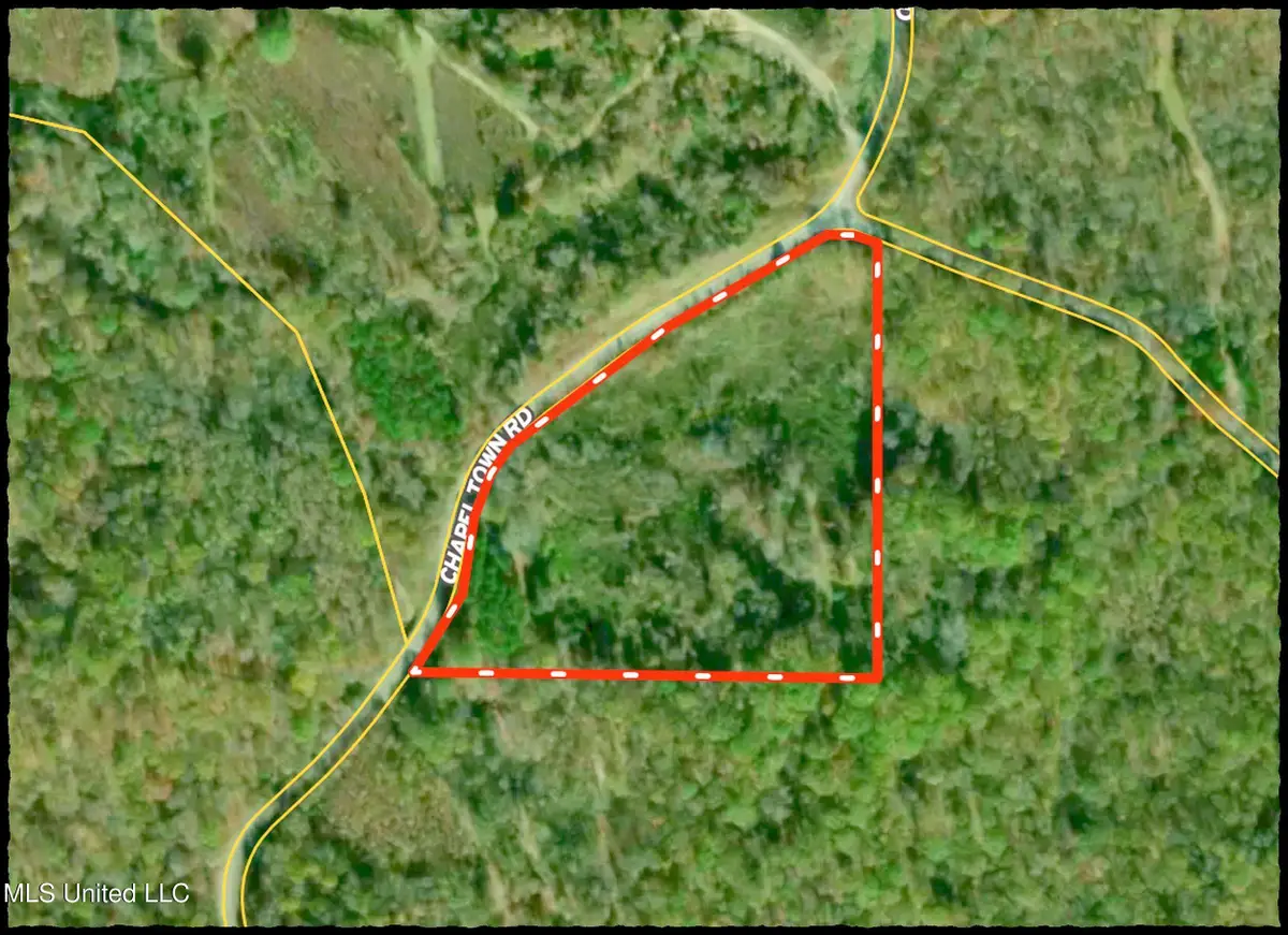 Chapel Town Road, Courtland, MS 38620 - Image #1