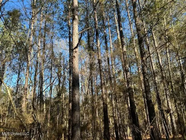 1059 Candy Lane, McComb, MS 39648 - Image #2