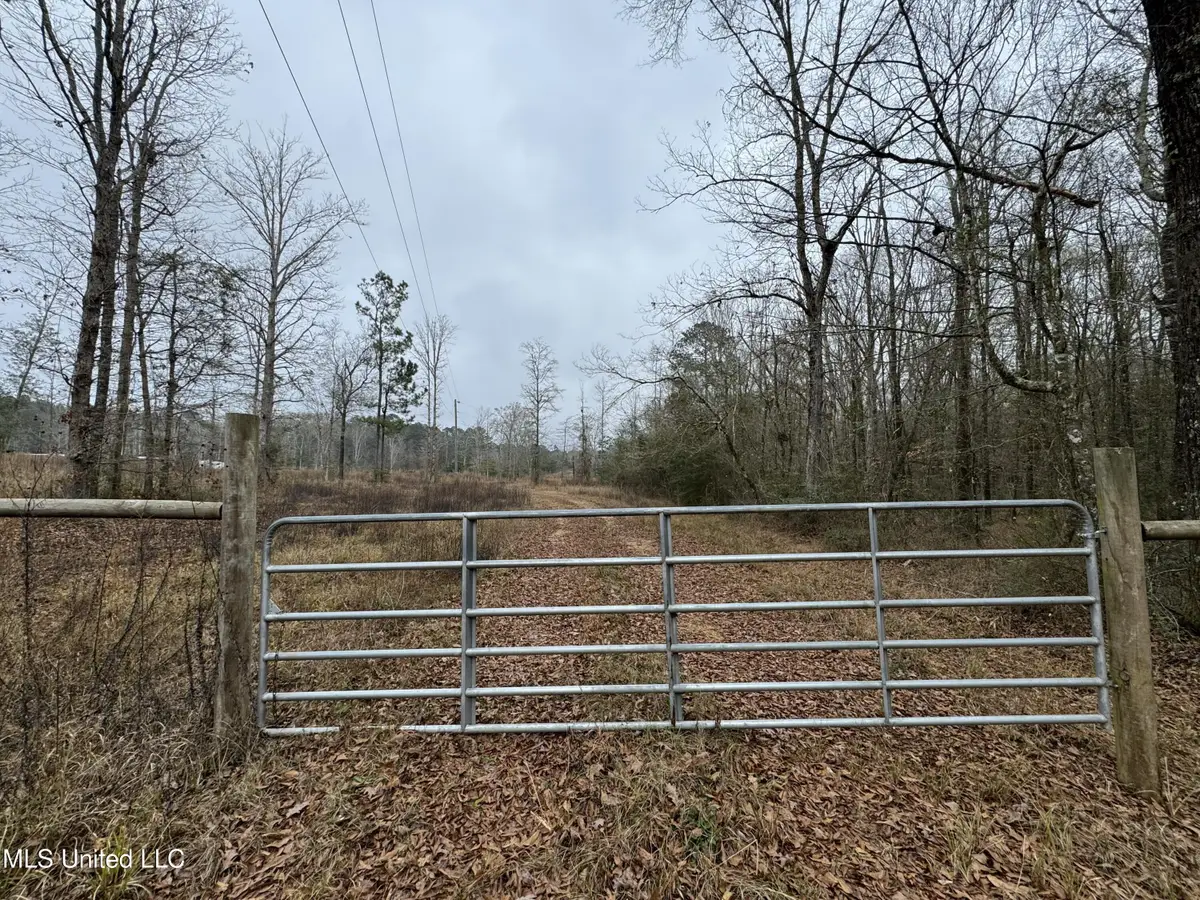 Cold Springs Road, Collins, MS 39428 - Image #1