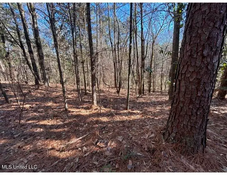 Poplar Springs Road, Hazlehurst, MS 39083 - Image #2