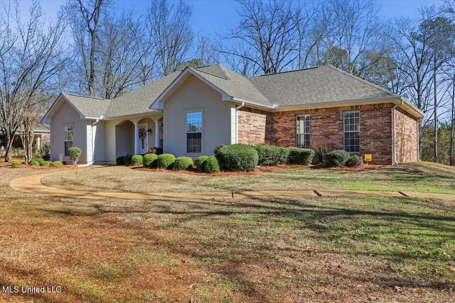 114 Hollybush Place, Brandon, MS 39047 - Image #2