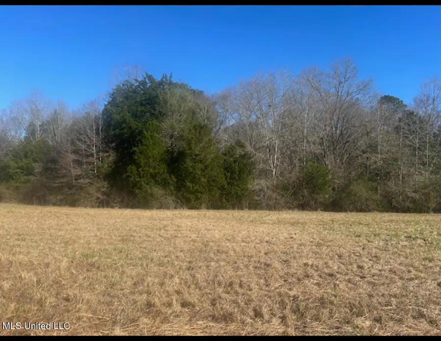 170 Camden Road, Camden, MS 39045 - Image #3