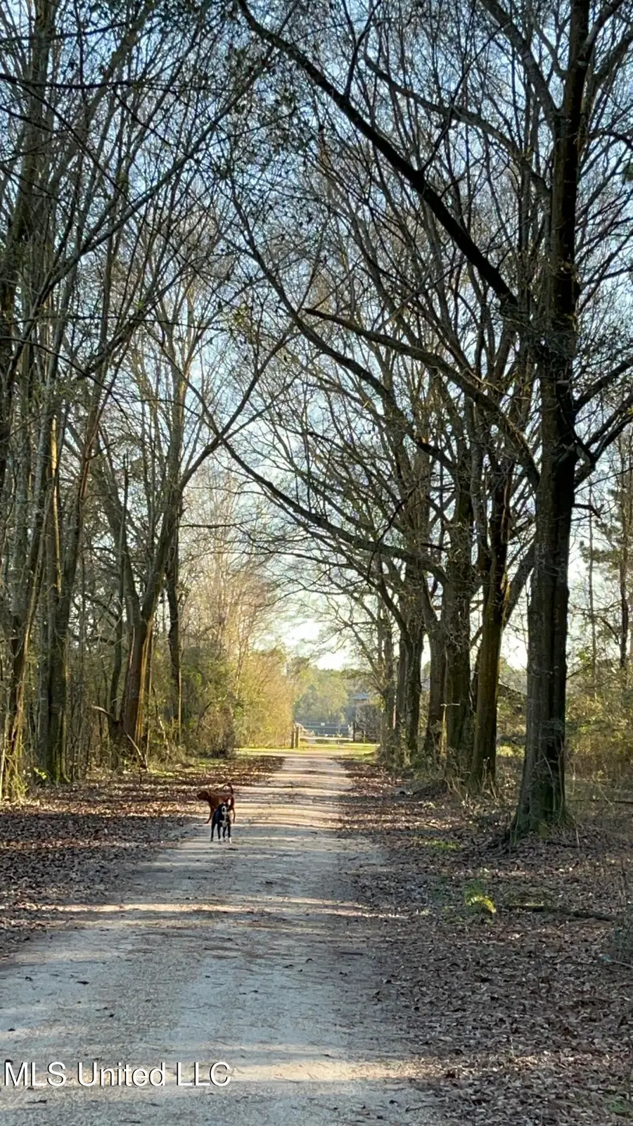 130 Lower Ovett Road, Ovett, MS 39464 - Image #3