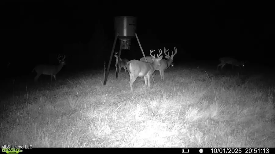 Raymond Road, Jackson, MS 39212 - Image #3