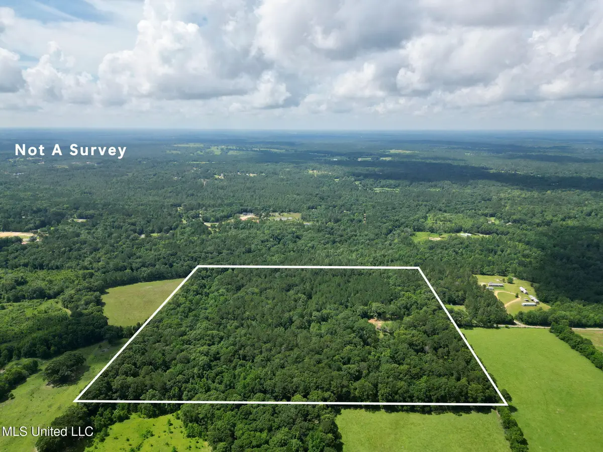 55 Amacker Road, Poplarville, MS 39470 - Image #1