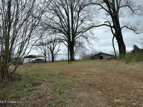 3677 Old Hillsboro Road, Forest, MS 39074