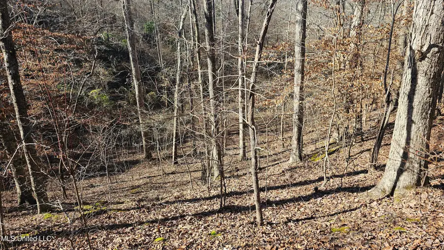 Sturgis Road, Louisville, MS 39339 - Image #2