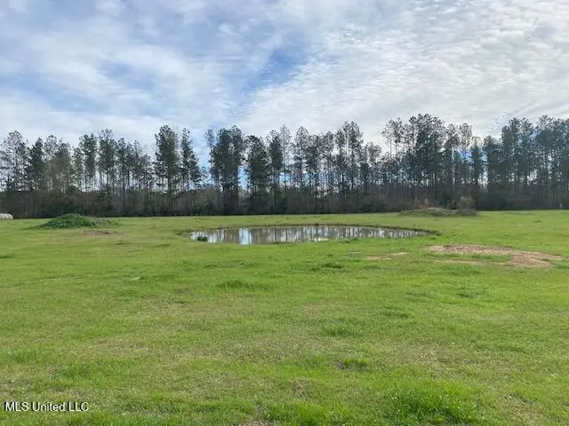 3010 Union Church Road, Magnolia, MS 39652 - Image #3