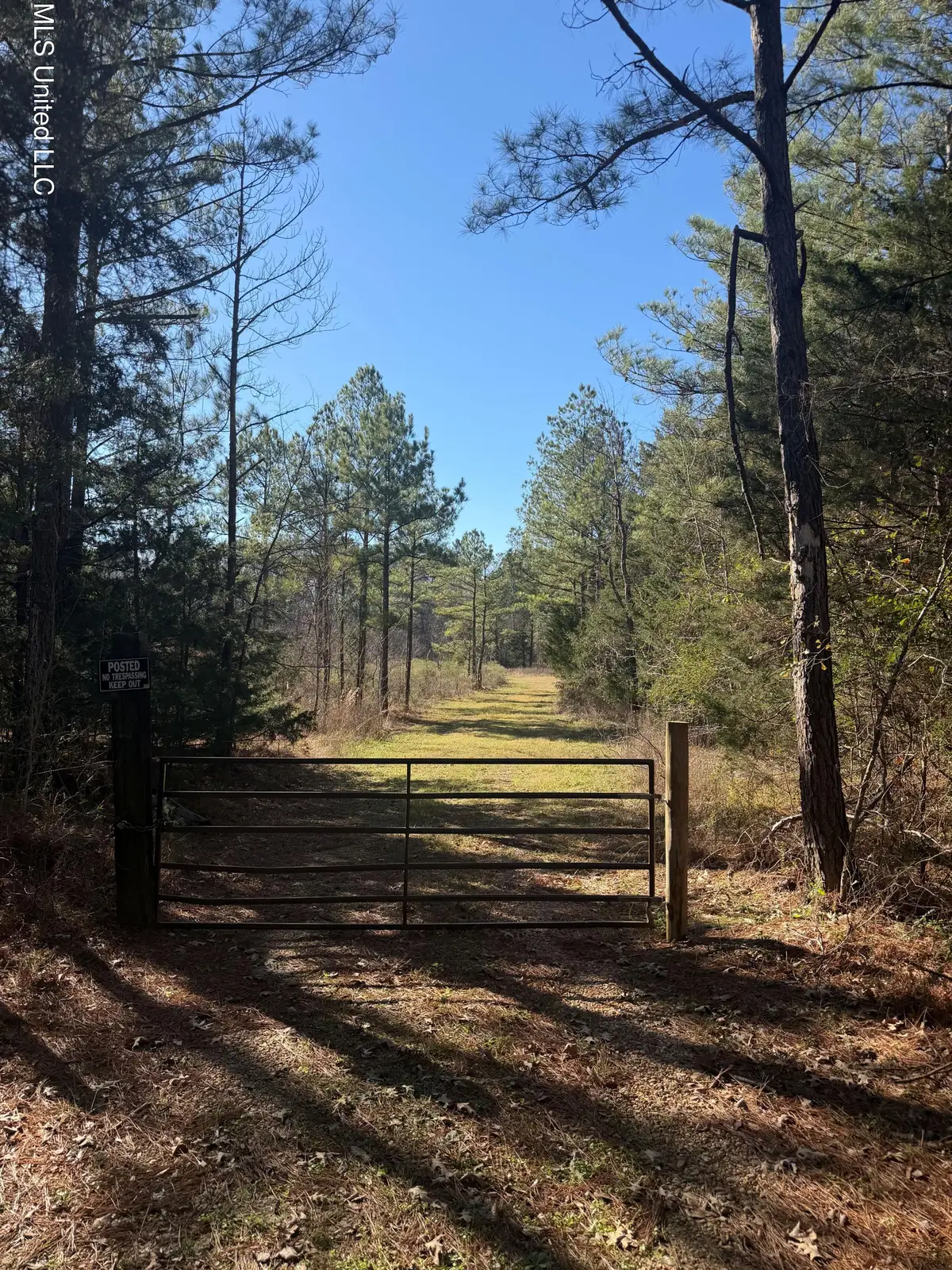 Off Of Saint Augustine Drive, Pearl, MS 39208 - Image #1