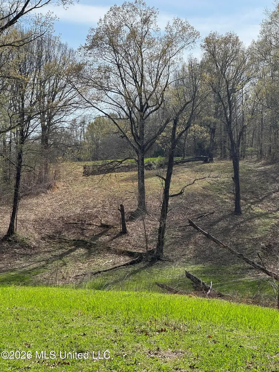 0 Green River Road, Lake Cormorant, MS 38641 - #2