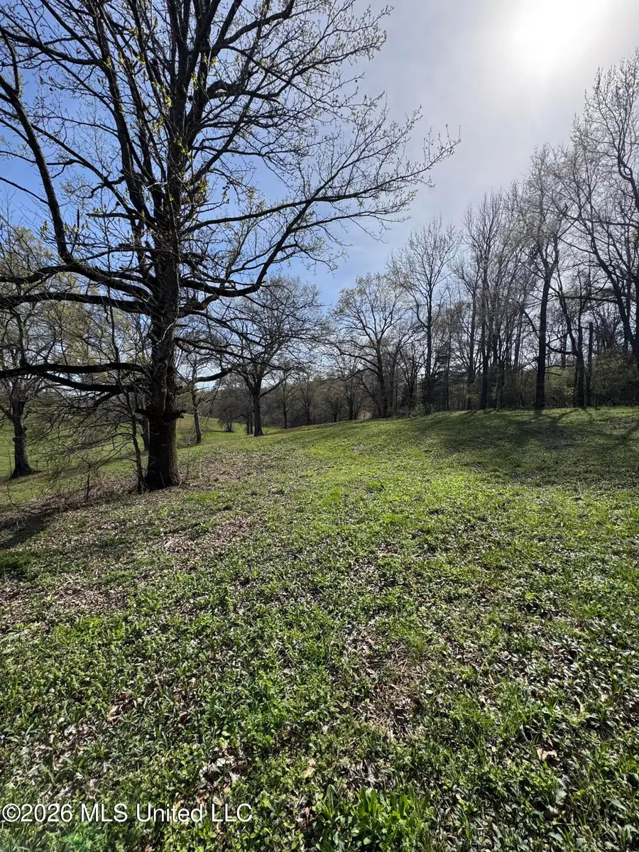 0 Green River Road, Lake Cormorant, MS 38641 - #3