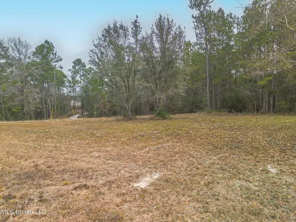 Alcede Lizana Road, Gulfport, MS 39503