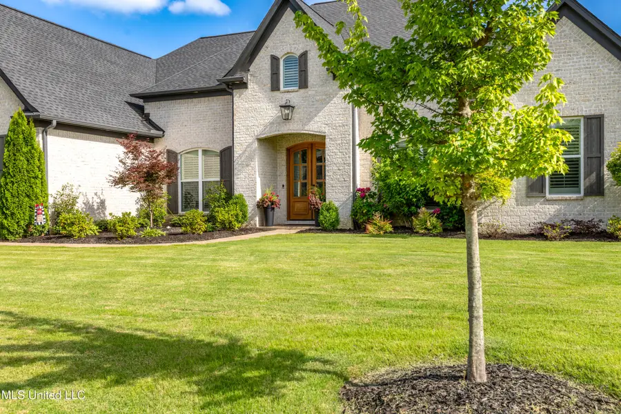 8209 Waterfall Way, Olive Branch, MS 38654 - Image #3