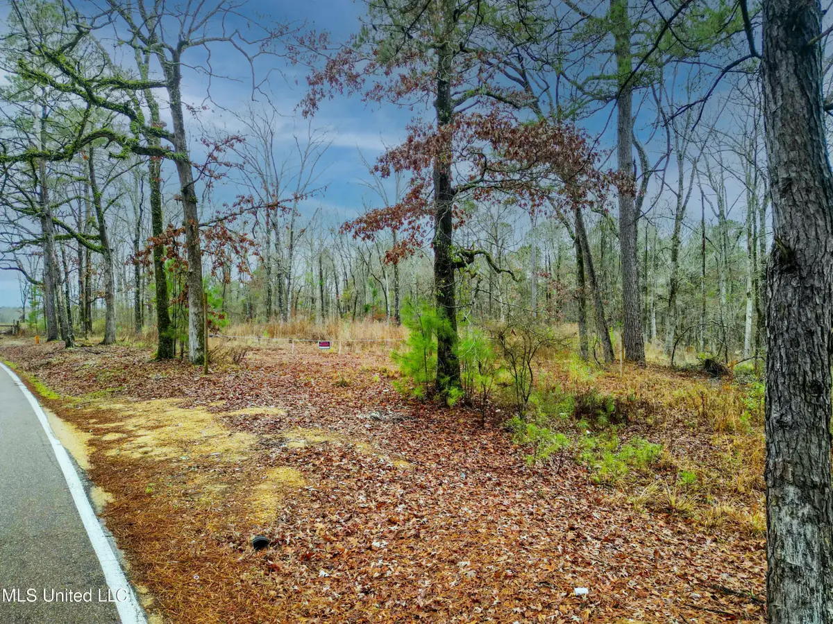 Mullican Road, Florence, MS 39073 - Image #1