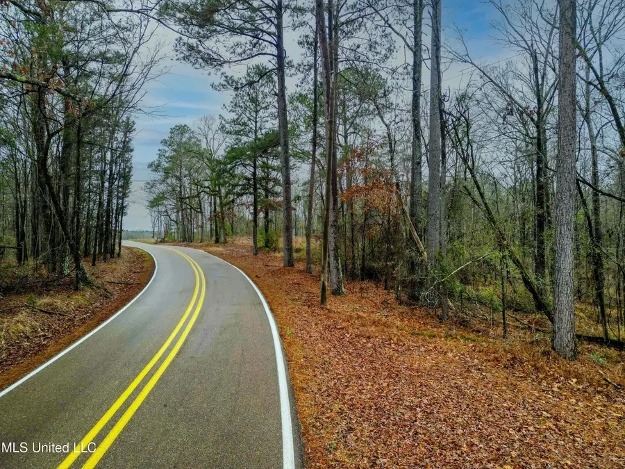 Mullican Road, Florence, MS 39073 - Image #3