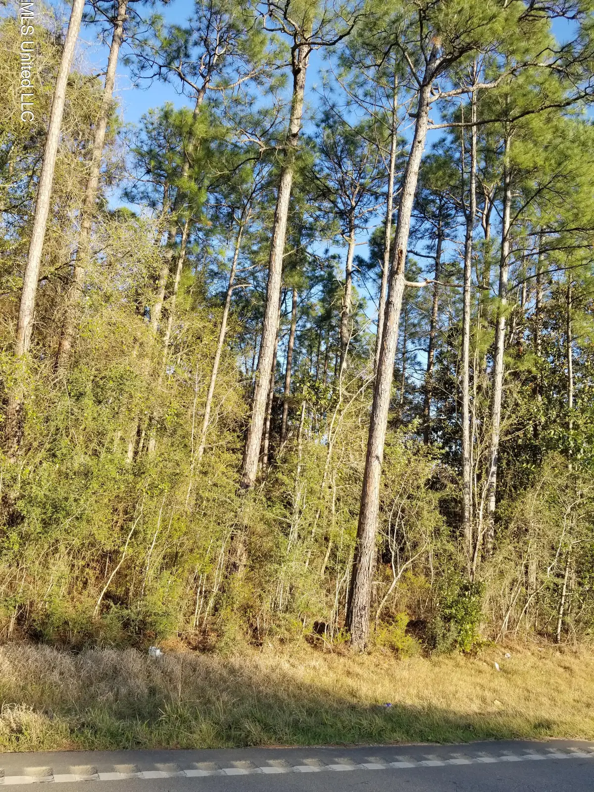 Quave Road, Vancleave, MS 39565 - Image #1