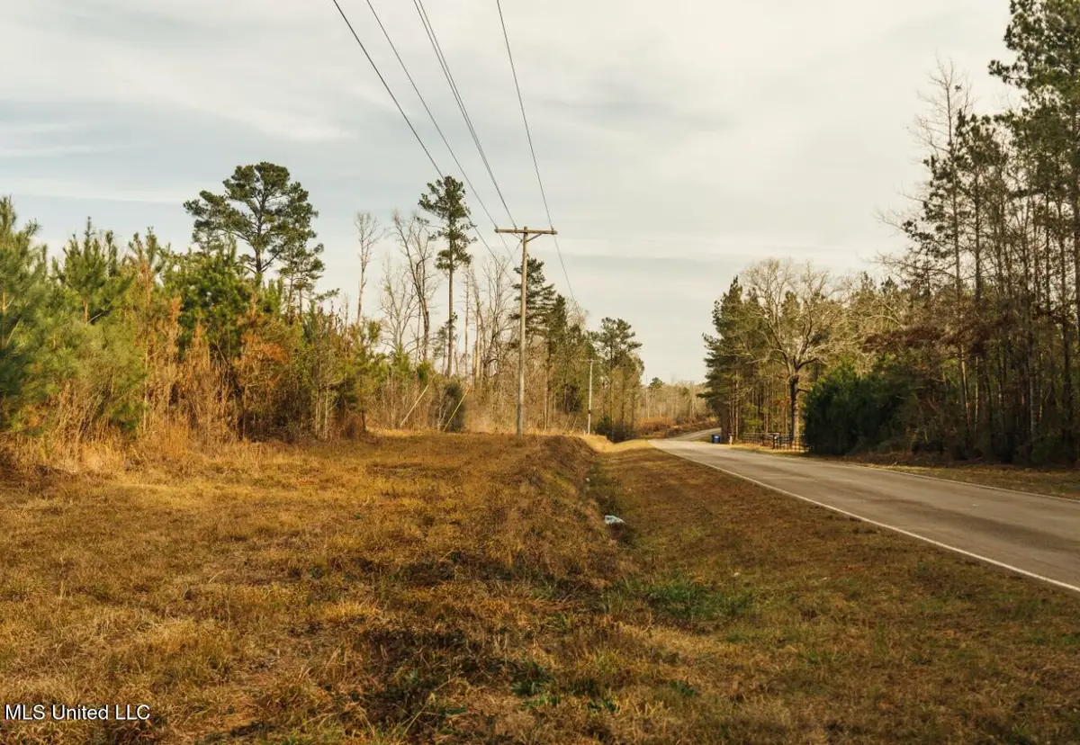 Tbd SW Arlington Drive, Bogue Chitto, MS 39629 - Image #1