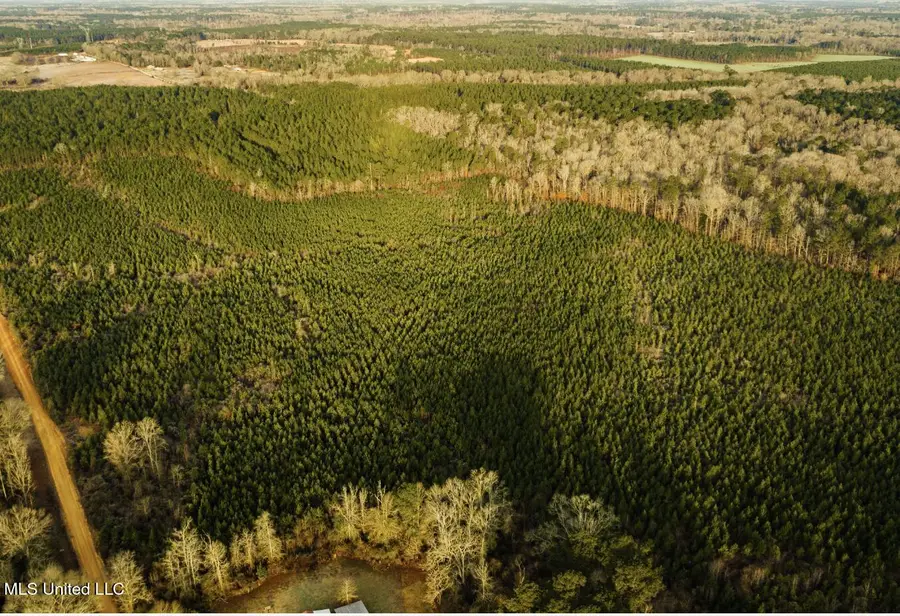 Tbd SW Arlington Drive, Bogue Chitto, MS 39629 - Image #3