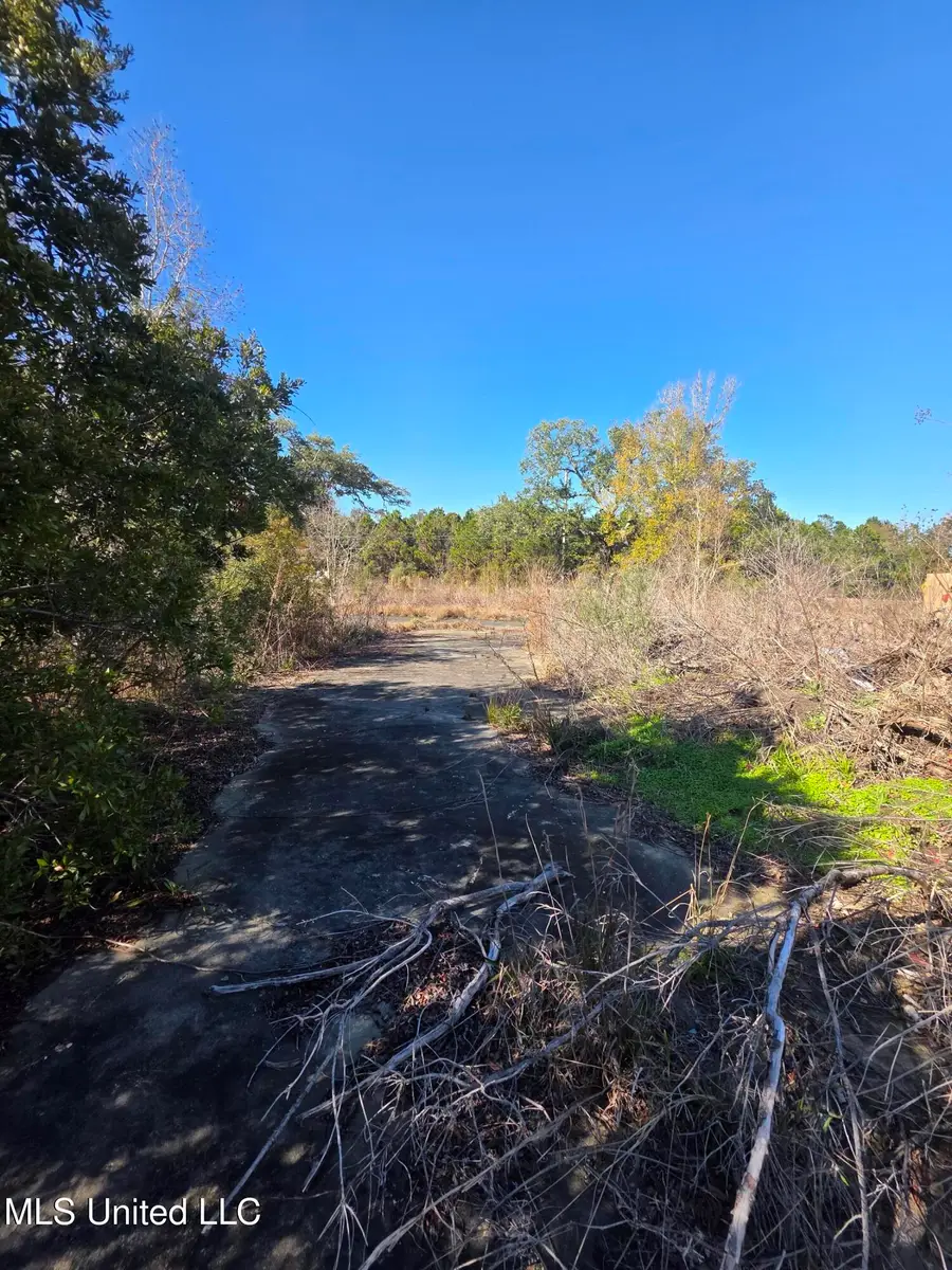 732 Wildwood Court, Pass Christian, MS 39571 - #3