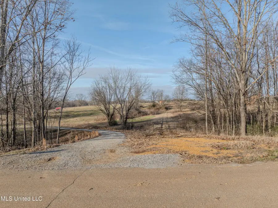 2 Boggan Lane, Hernando, MS 38632 - Image #2