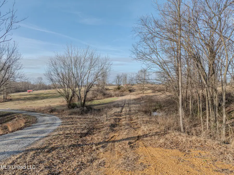 2 Boggan Lane, Hernando, MS 38632 - Image #3