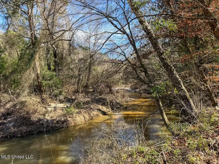 4026 Cowart Price Road, Tylertown, MS 39667 - Image #2