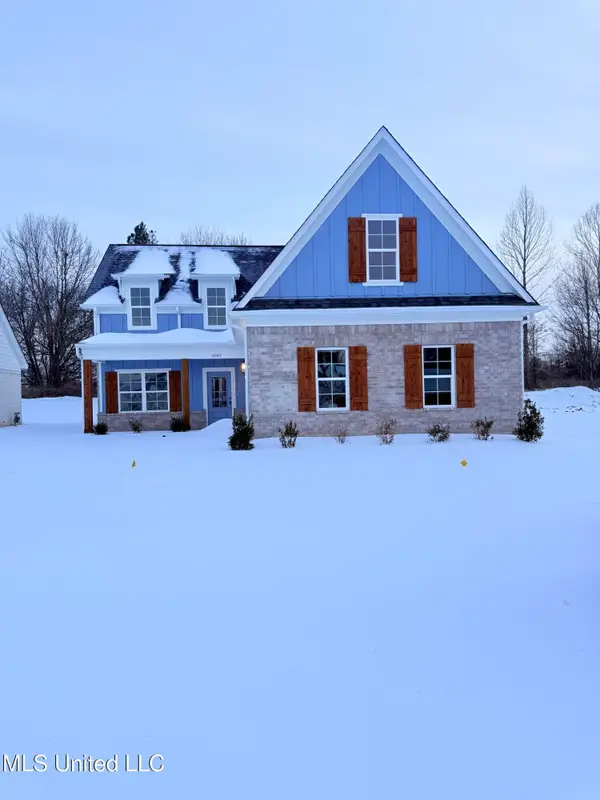 6065 Hickory Point Drive, Walls, MS 38680