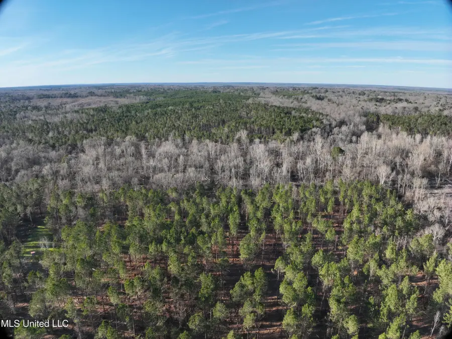 Byron Paul Lane, Crystal Springs, MS 39059 - #2