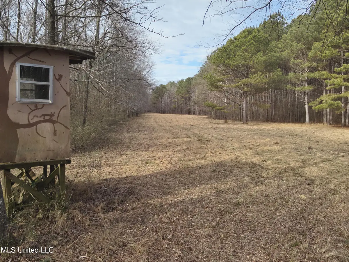 1356 Harrell Road Road, Maben, MS 39750 - Image #1