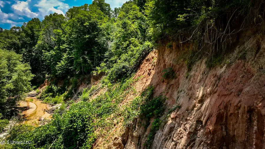 2360 Sullivan Road, Meadville, MS 39653 - Image #2