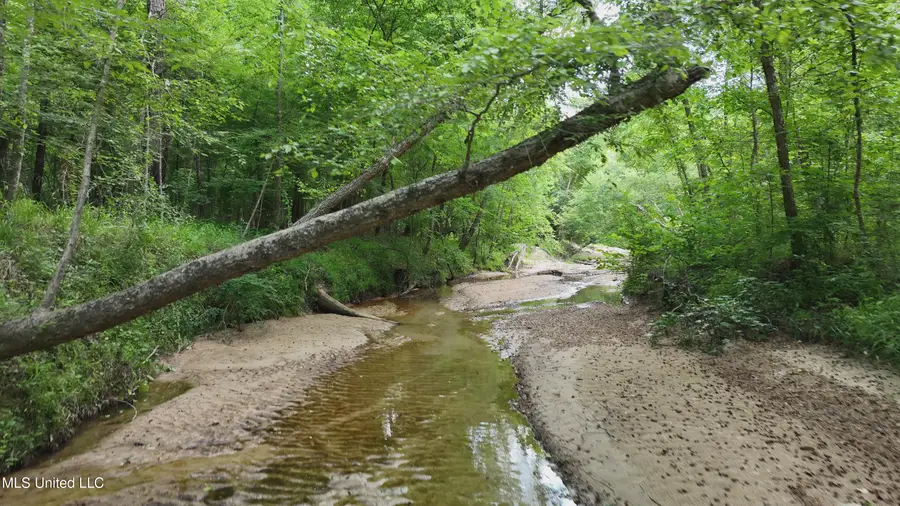 2360 Sullivan Road, Meadville, MS 39653 - Image #3