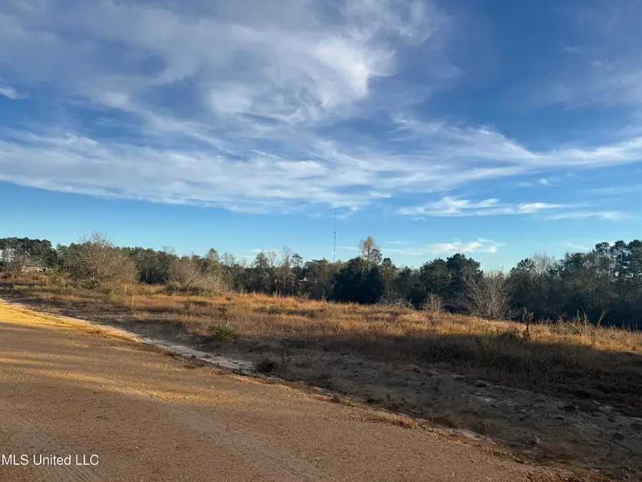 15 Acres Parker Road, McHenry, MS 39561 - #2