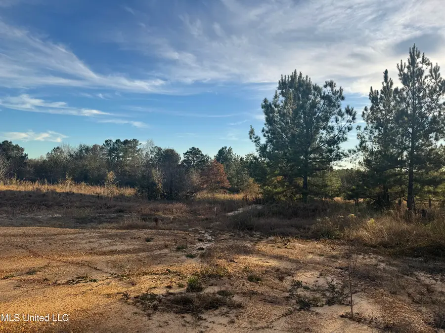 15 Acres Parker Road, McHenry, MS 39561 - #3