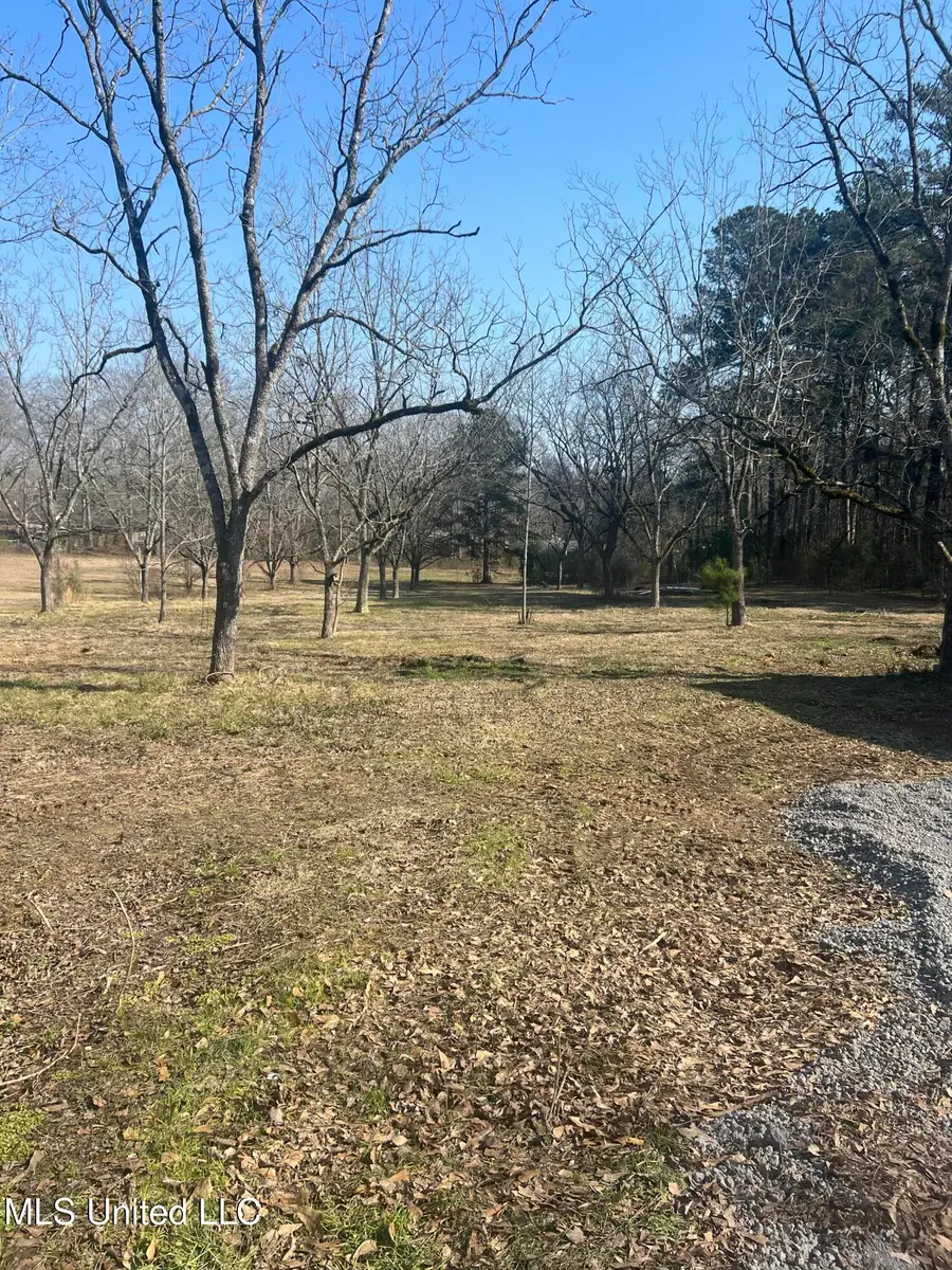 110 Trickhambridge Road, Brandon, MS 39042 - #3