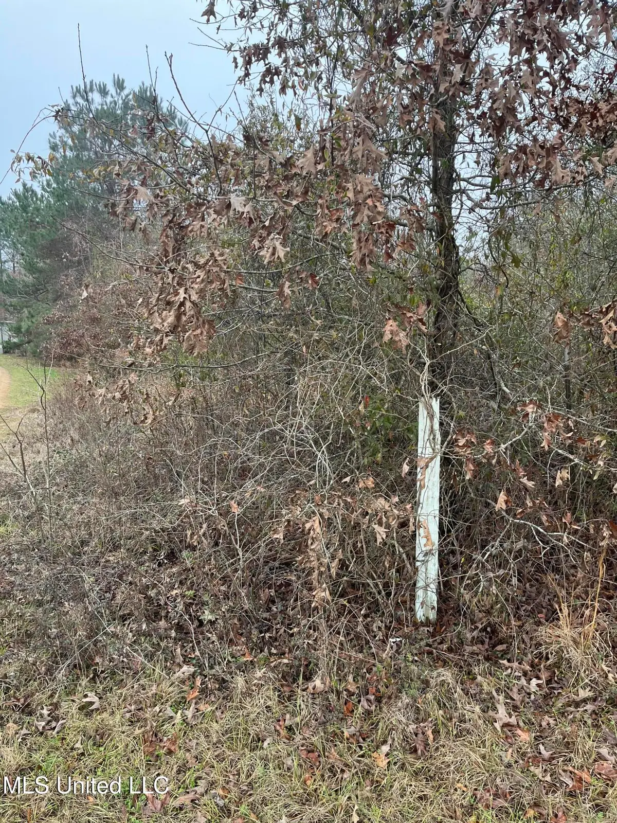 Coventry Road, Natchez, MS 39120 - Image #1