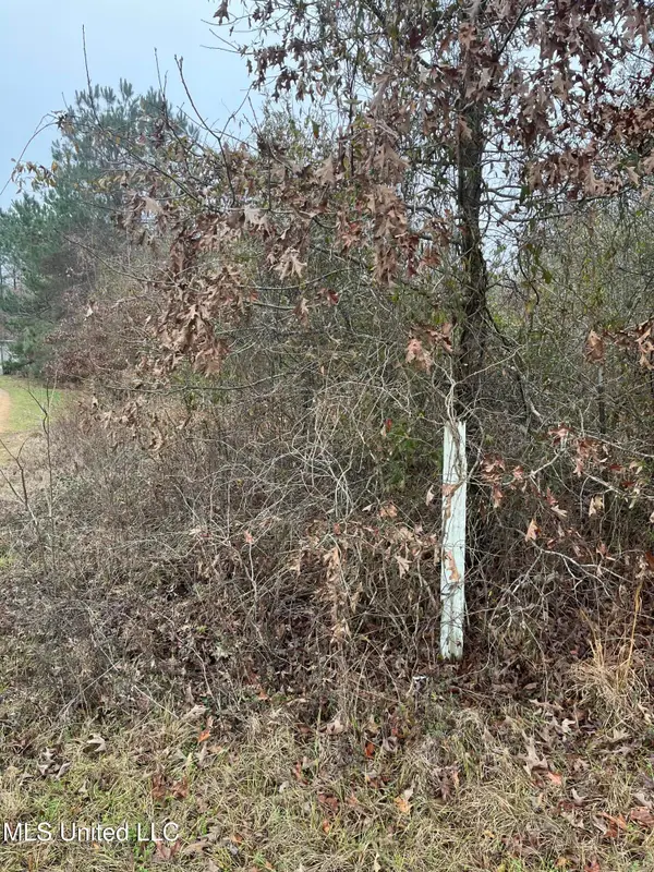 Coventry Road, Natchez, MS 39120