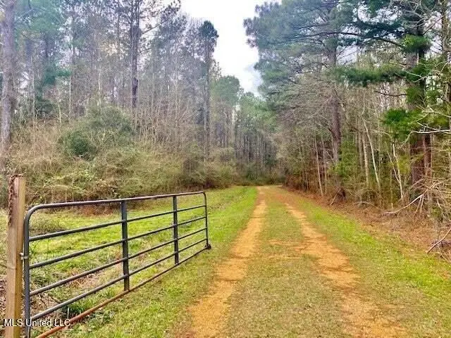 3037 Brandi Road, Summit, MS 39666 - Image #2