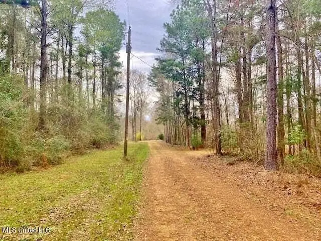 3037 Brandi Road, Summit, MS 39666 - Image #3