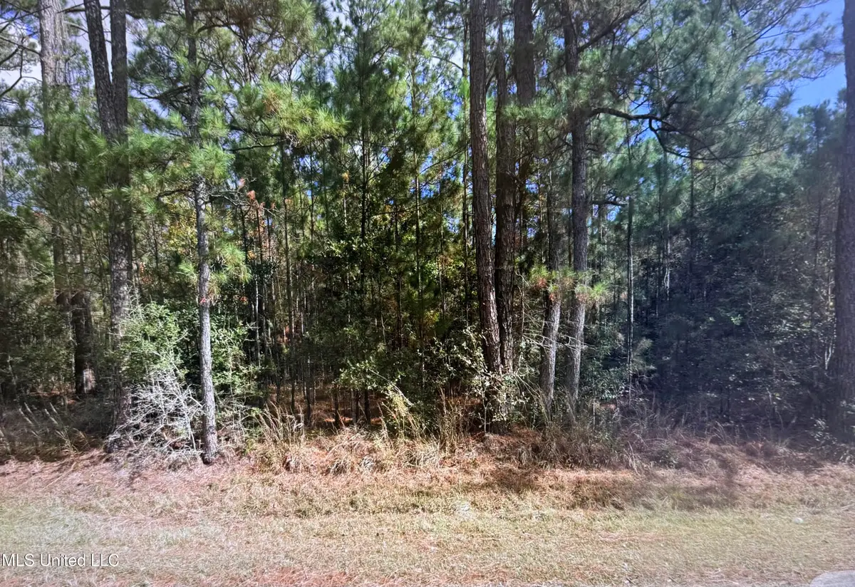 4662 Thirty Fourth Street, Bay Saint Louis, MS 39520 - Image #1