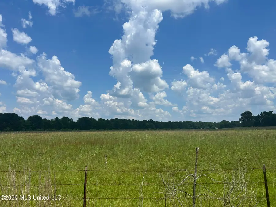 Cane Creek Road, Flora, MS 39071 - #2