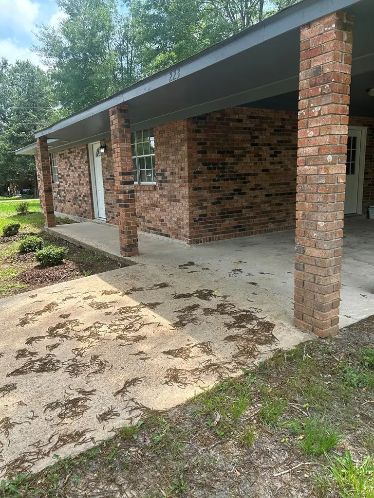 223 S Beech Street, Bude, MS 39630 - Image #3