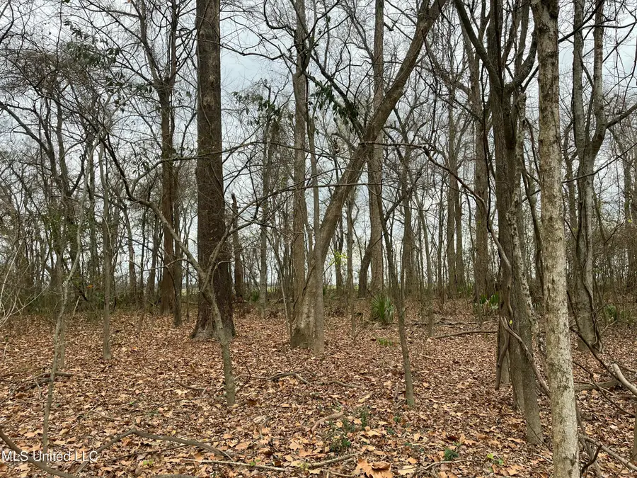 Par Road 5a-83a, Ferriday, LA 71334 - Image #3