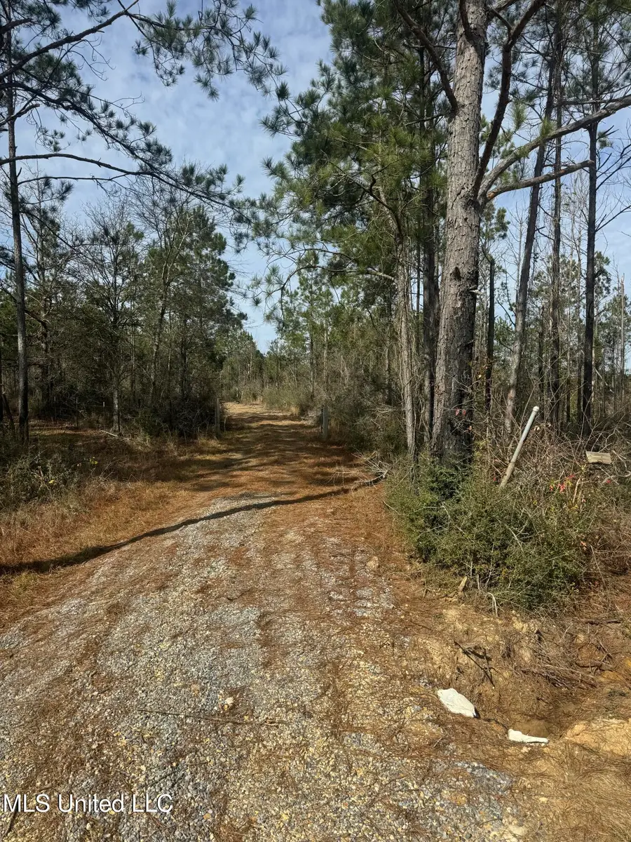 51 L Jack Stewart Road, Poplarville, MS 39470 - #3